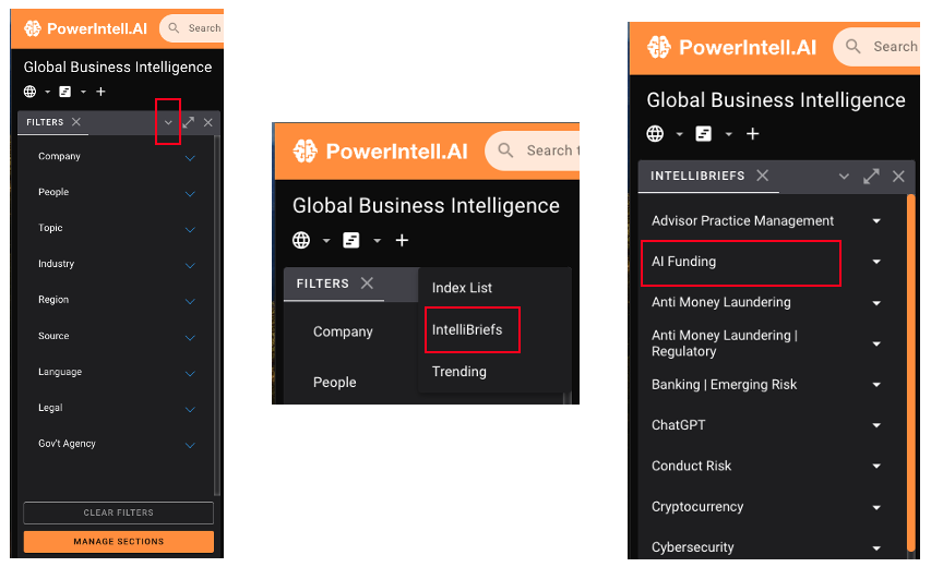 IntelliBrief Filters